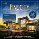 Century 23 Pine City (10)