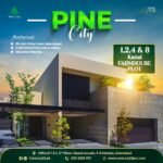 Century 23 Pine City (11)