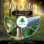 Century 23 Pine City (12)
