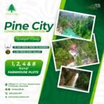 Century 23 Pine City (14)