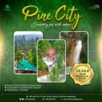 Century 23 Pine City (16)
