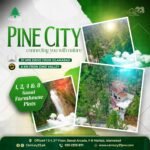 Century 23 Pine City (3)