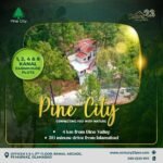 Century 23 Pine City (5)