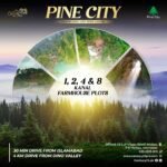 Century 23 Pine City (6)