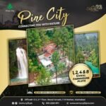 Century 23 Pine City (7)