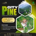 Century 23 Pine City (9)